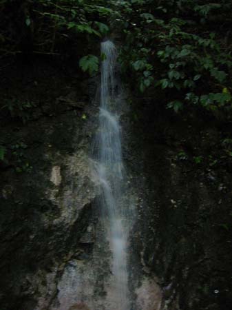 Yangminshan Fotos