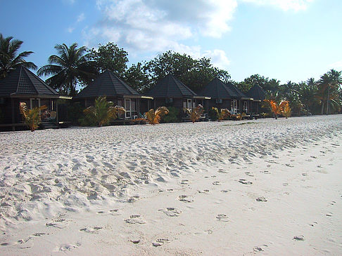 Der weiße Sandstrand der Malediven Foto 