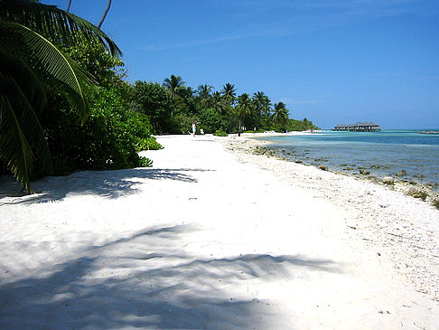 Felsiger Strand Foto 