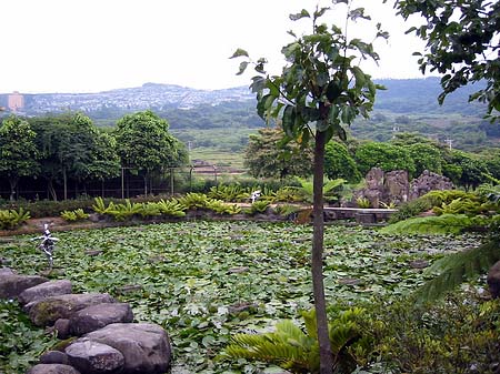 Juming Museum Fotos